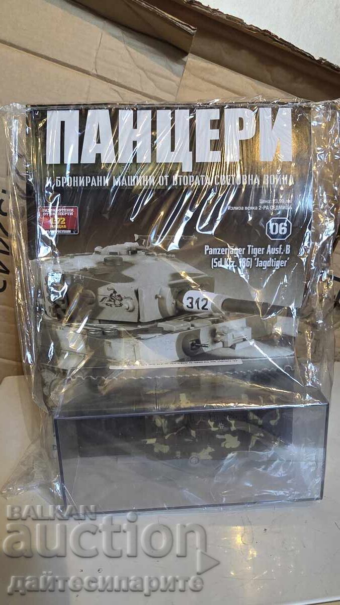 Demolition and Model Panzer Tiger