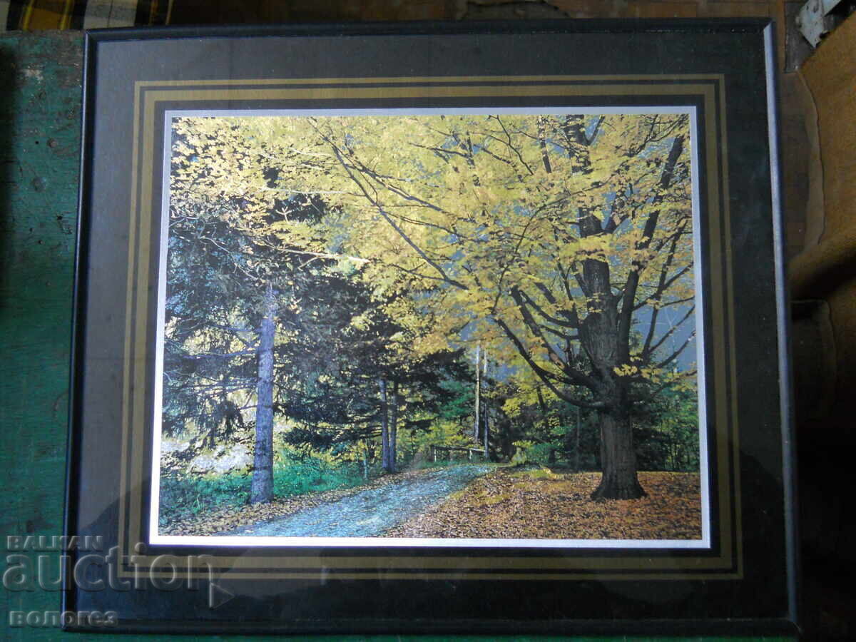 Картина - печат върху сребърно фолио Картина - печат върху сребърно фолио