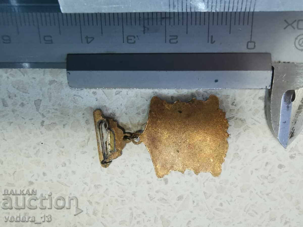 Licitație insignă-BRONZ Licitație insignă-BRONZ