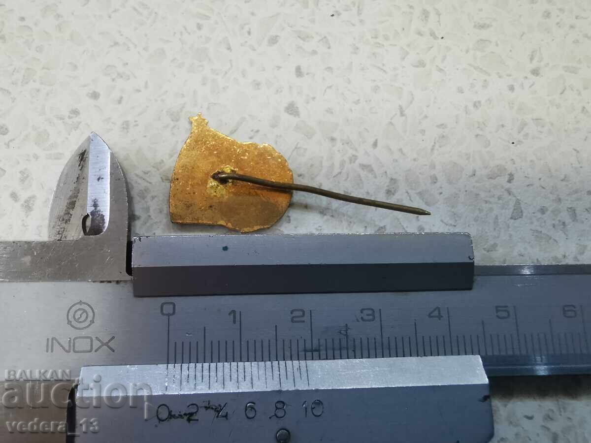 insignă cu preț 10.00 BGN | € 5.11 insignă cu preț 10.00 BGN | € 5.11