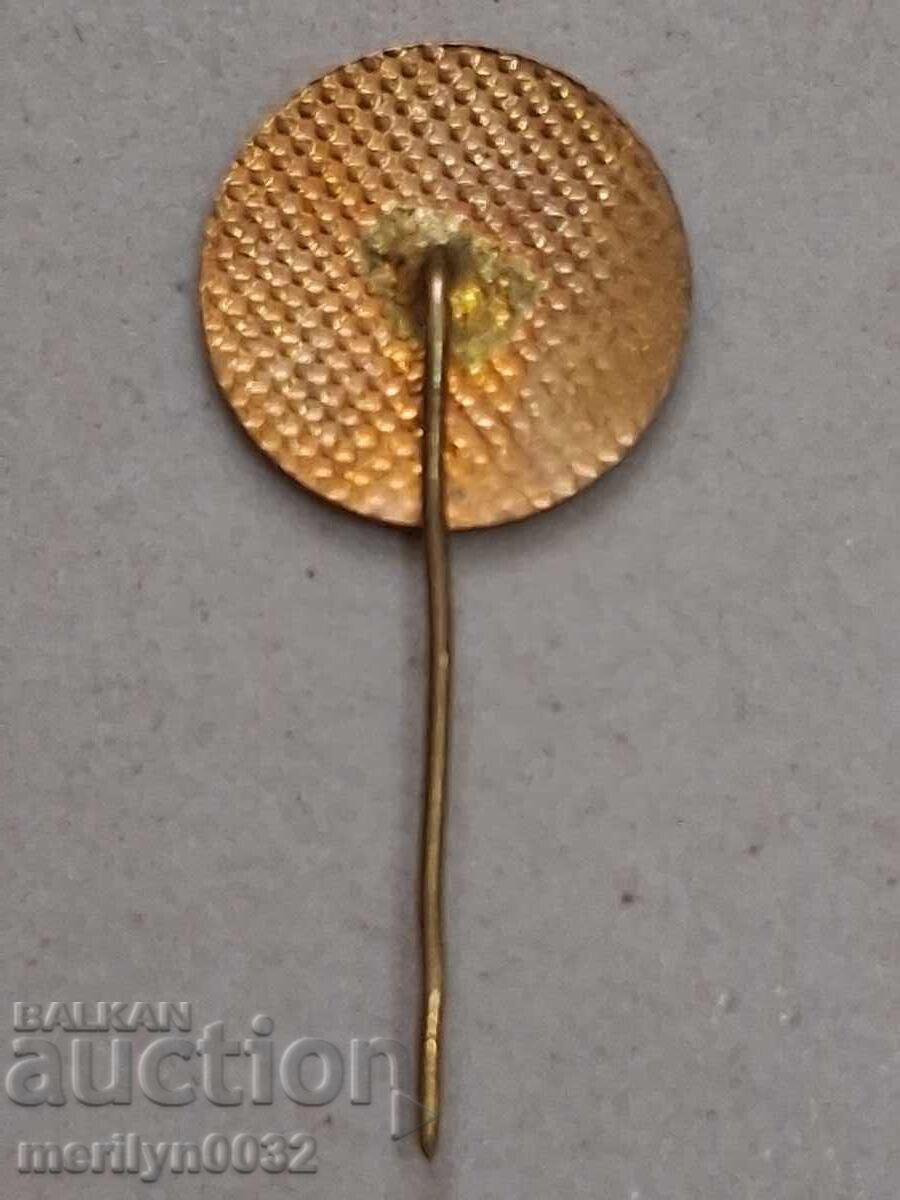 Licitație Insigna emailată crucișător Nadejda, semn distinctiv, medalie, ecuson Licitație Insigna emailată crucișător Nadejda, semn distinctiv, medalie, ecuson