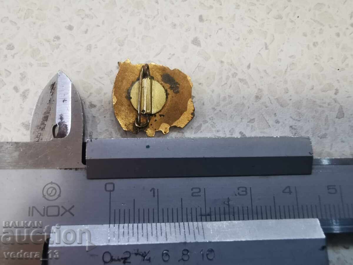 Licitație insignă Licitație insignă