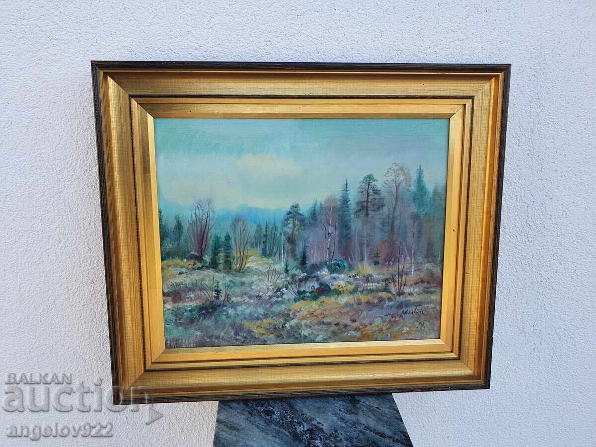 Авторска картина с маслени бои върху платно!!! с цена 1.00 лв. | € 0.51