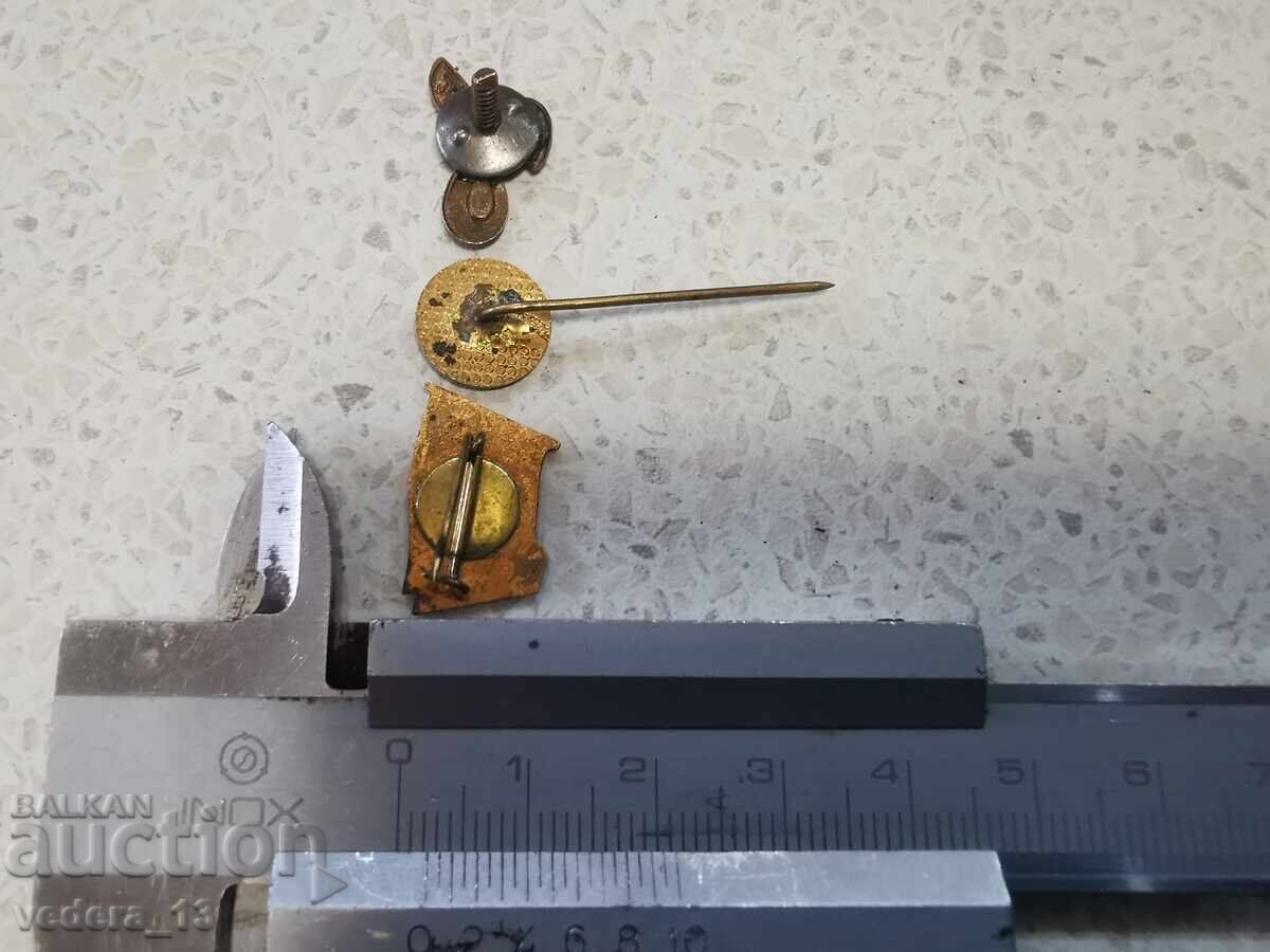 Licitație MULTE insigne