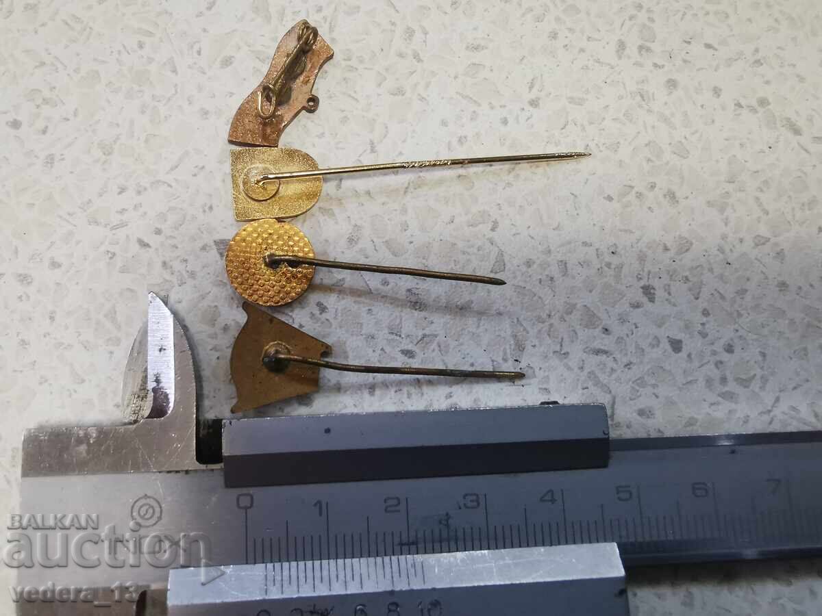 Παράδοση ΠΟΛΛΑ ΚΟΝΤΑ