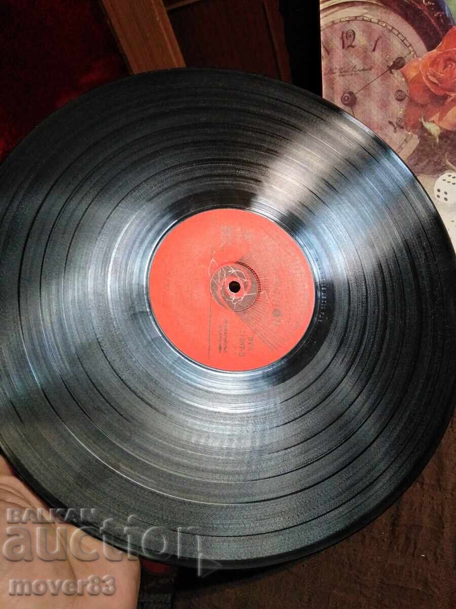 Livrarea Placă . Duetul "Riton" Livrarea Placă . Duetul "Riton"