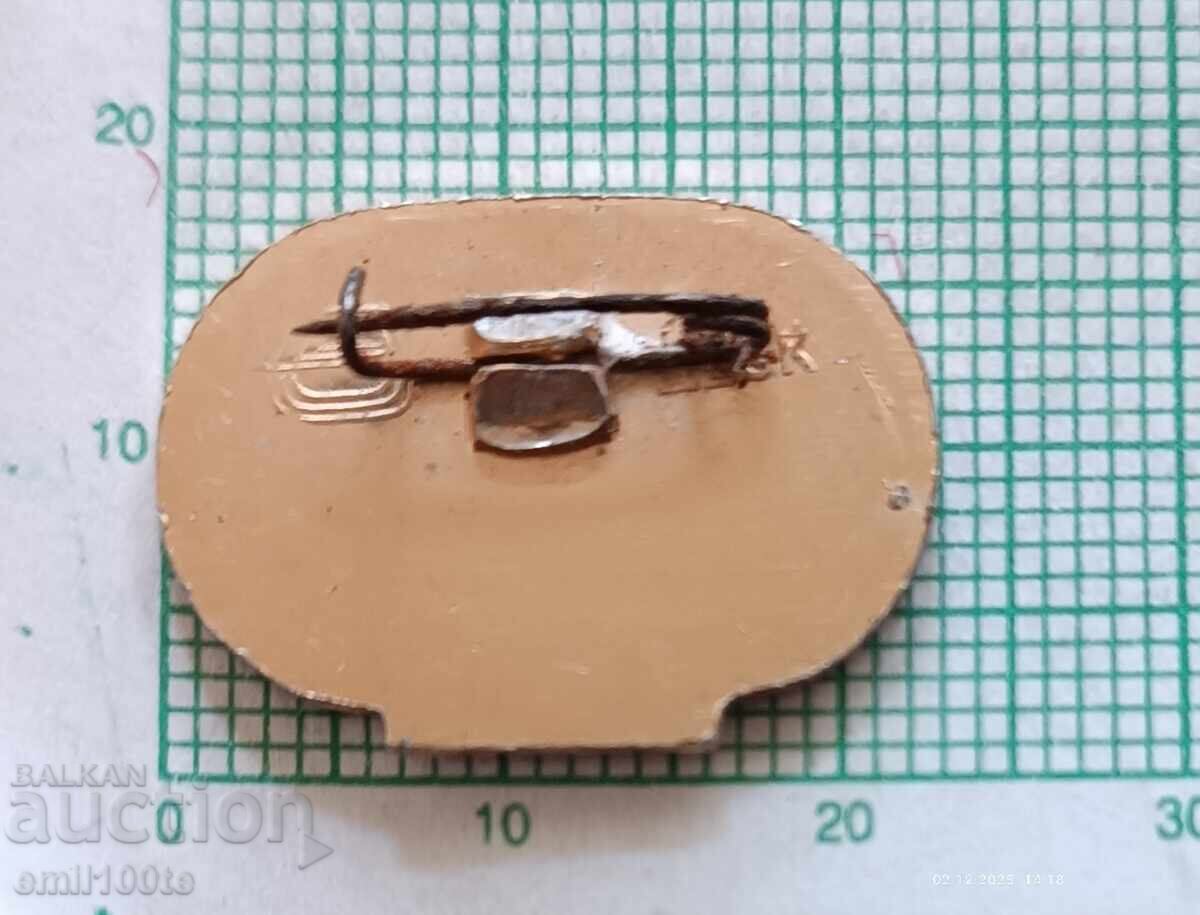 Livrarea Ecuson - Olimpiada Moscova 1980 Volei (minge)