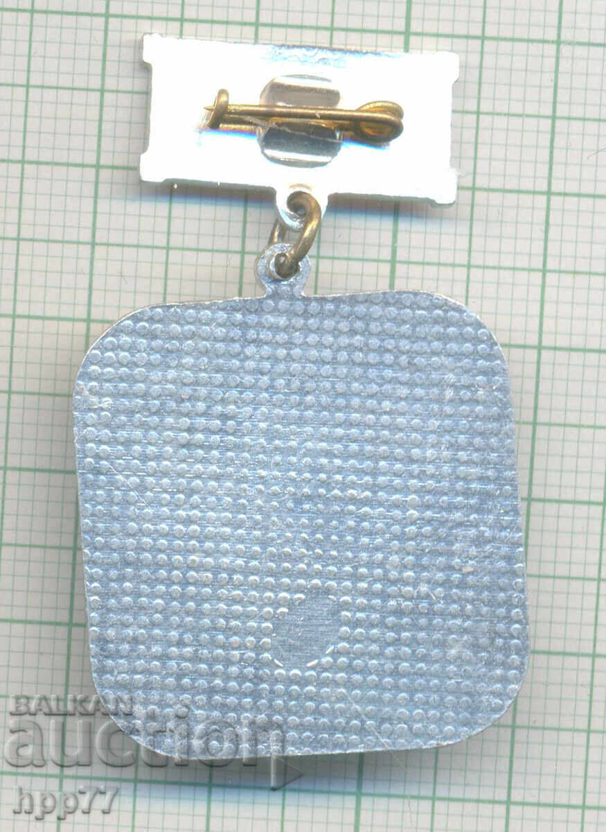 Rare Sports Badge Worker's Cross Salvo of AURORA with price € 1.00 | 1.96 BGN