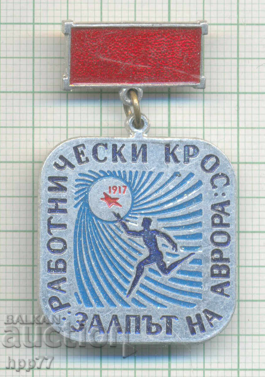 Rare Sports Badge Worker's Cross Salvo of AURORA