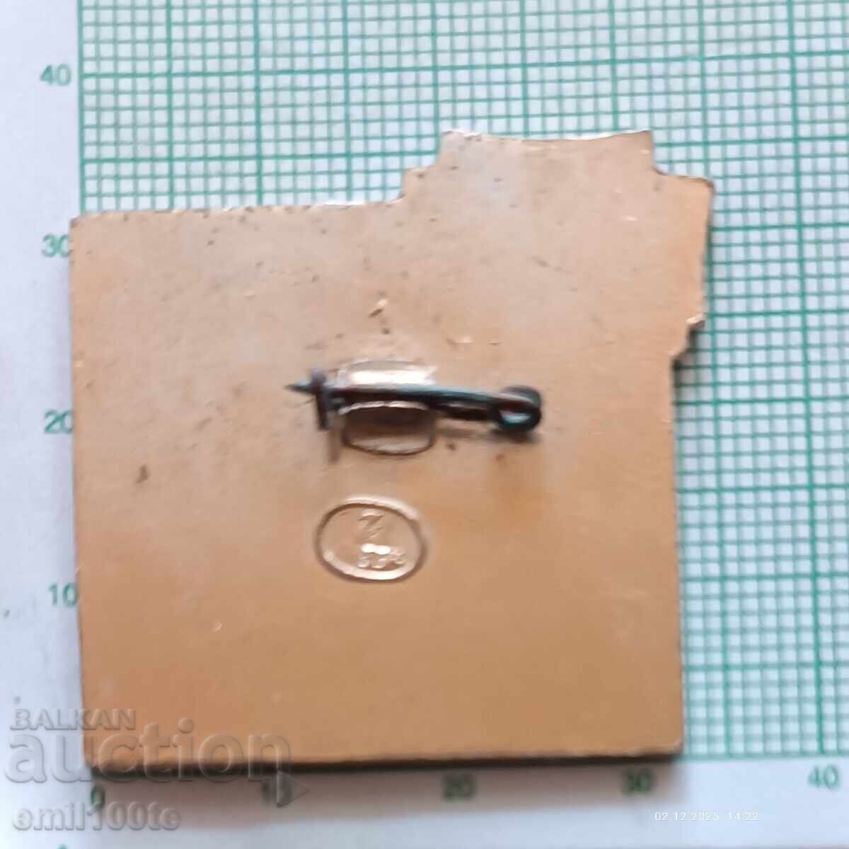 Delivery of Badge - Luzhniki Stadium Delivery of Badge - Luzhniki Stadium