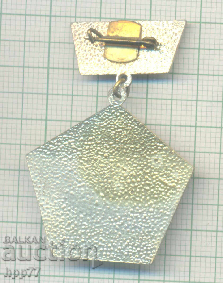 Rare Military Badge 30 Years Border Troops with price 9.00 BGN | € 4.60 Rare Military Badge 30 Years Border Troops with price 9.00 BGN | € 4.60