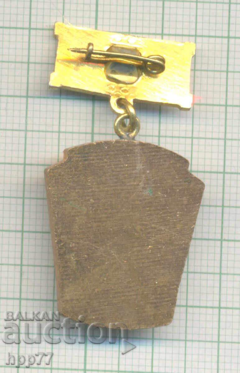 Rare Award Badge EXCELLENT BLRS with price 27.00 BGN | € 13.80