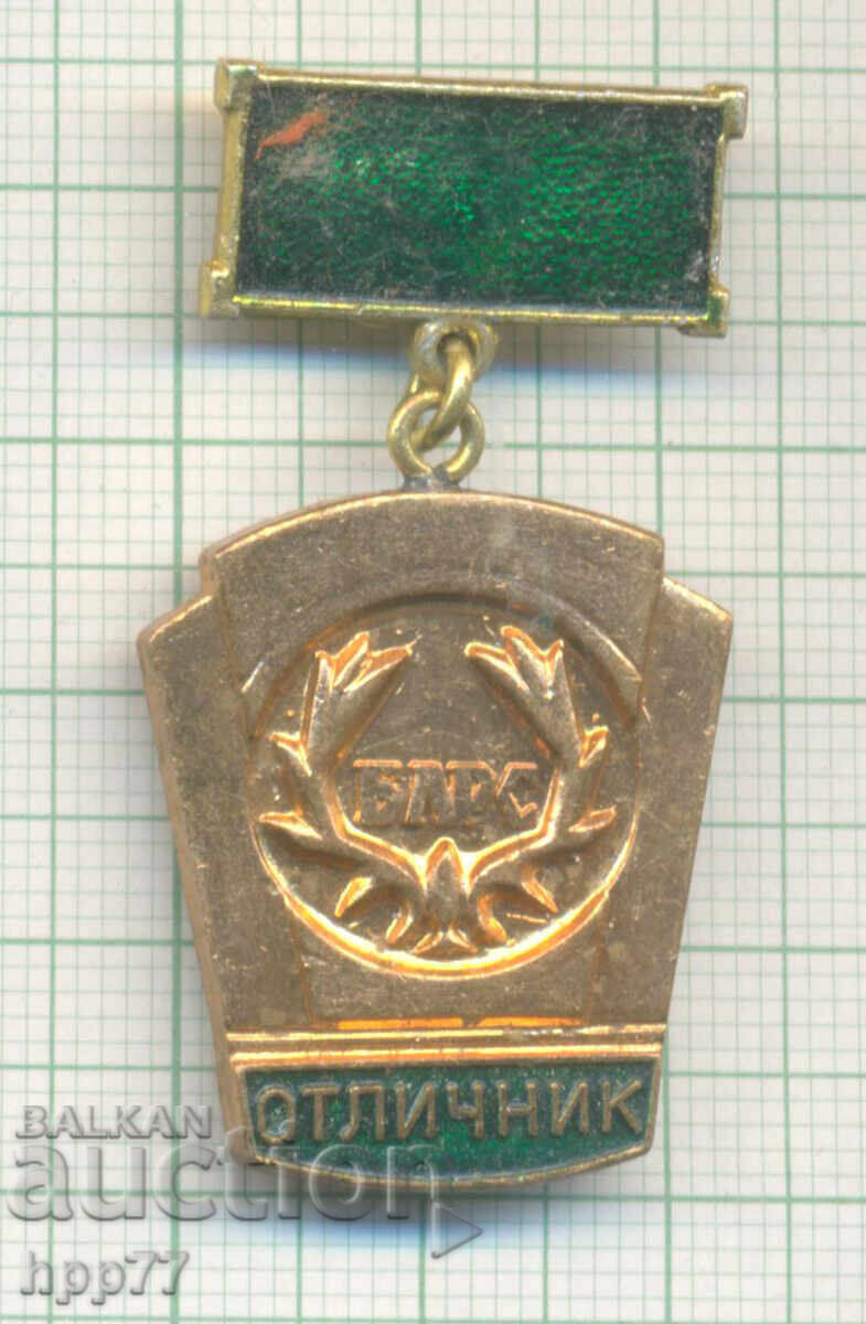 Rare Award Badge EXCELLENT BLRS