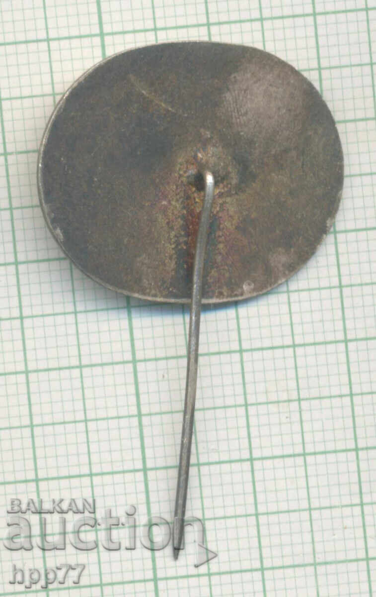 Semn de onoare rar Pentru Activitate Lungă și Activă BNR cu preț 15.00 BGN | € 7.67 Semn de onoare rar Pentru Activitate Lungă și Activă BNR cu preț 15.00 BGN | € 7.67