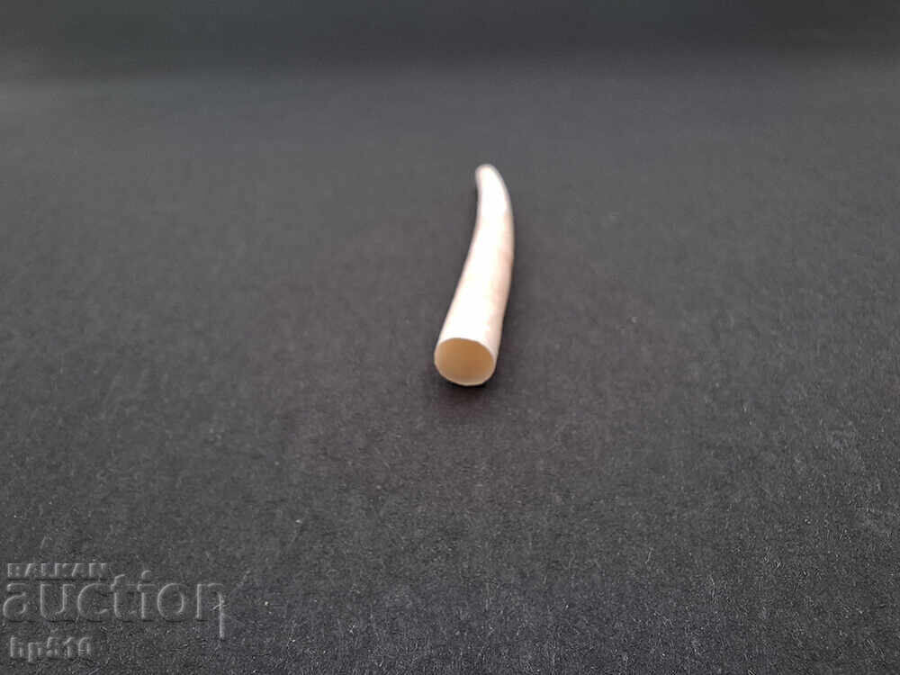 Аукцион Фосил, вкаменелост. Морско мекотело Dentalium sp. Аукцион Фосил, вкаменелост. Морско мекотело Dentalium sp.