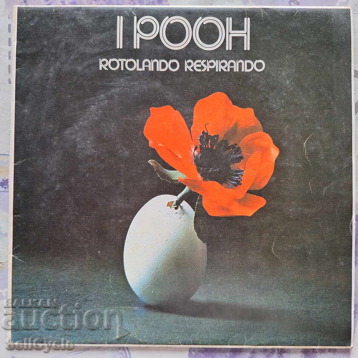 ✅ΠΛΑΚΑ - Ο ΓΟΥΙΝΙ ΤΟ ΑΡΚΟΥΔΑΚΙ❗