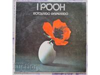 ✅ΠΛΑΚΑ - Ο ΓΟΥΙΝΙ ΤΟ ΑΡΚΟΥΔΑΚΙ❗