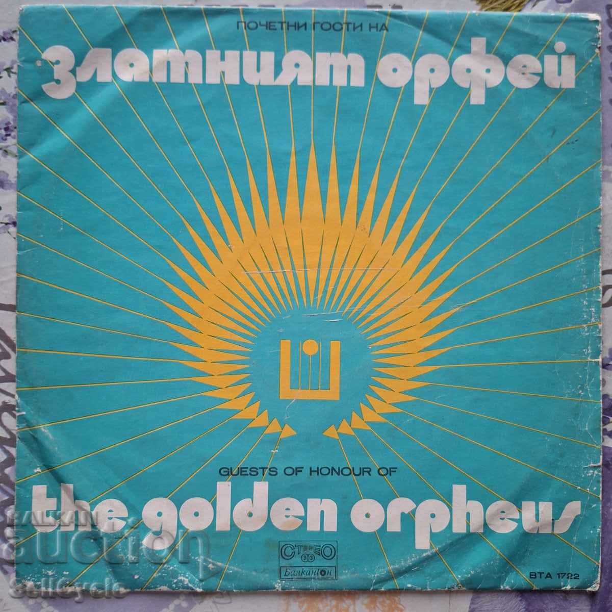 ✅ΠΛΑΚΑ - ΕΞΩΦΥΛΛΟ❗ ✅ΠΛΑΚΑ - ΕΞΩΦΥΛΛΟ❗