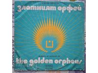 ✅ΠΛΑΚΑ - ΕΞΩΦΥΛΛΟ❗