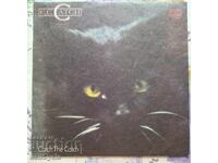 ✅ΔΙΣΚΟ ΓΡΑΜΟΦΩΝΟΥ❗