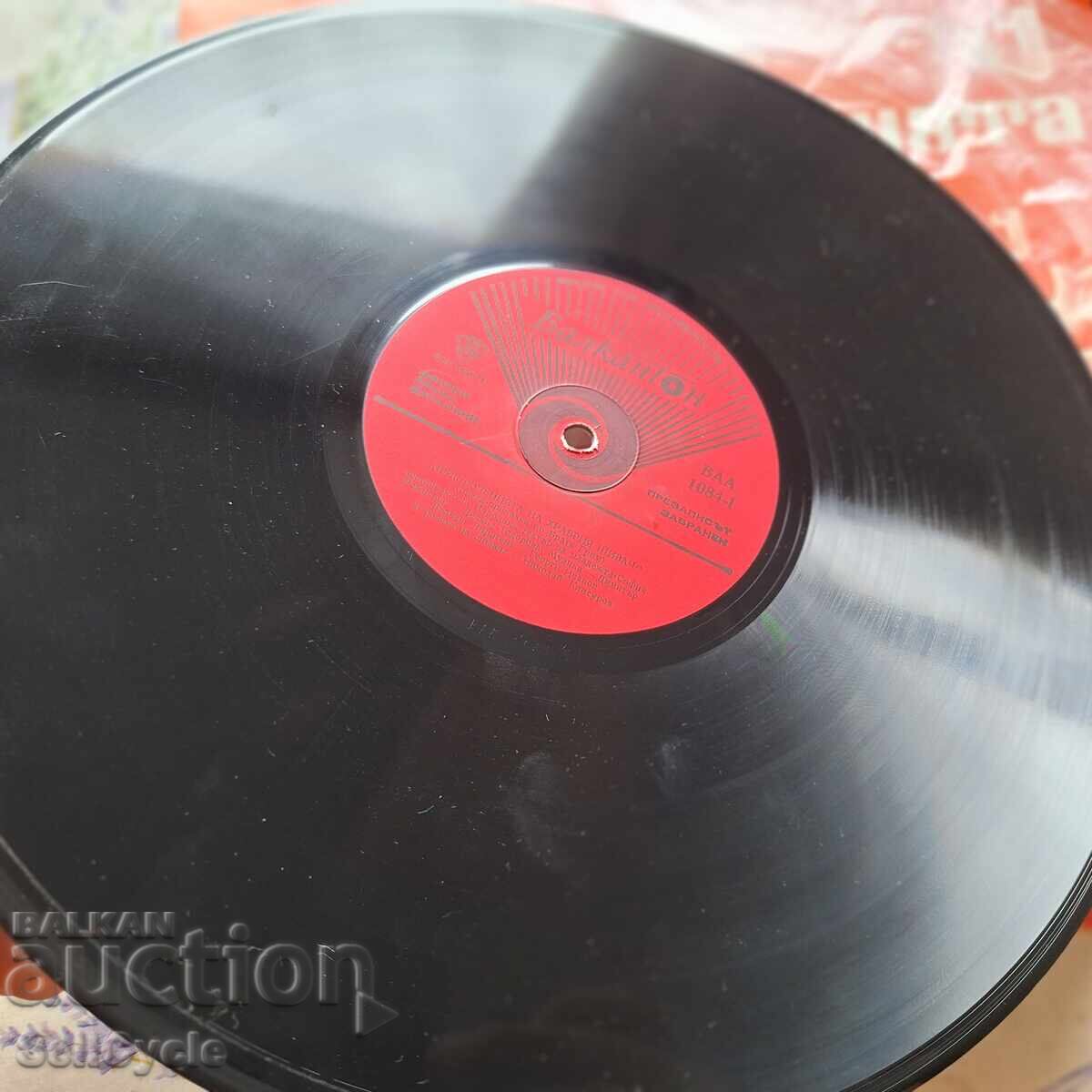 ✅ΔΙΣΚΟ ΓΡΑΜΟΦΩΝΟΥ❗ - 5 ✅ΔΙΣΚΟ ΓΡΑΜΟΦΩΝΟΥ❗ - 5