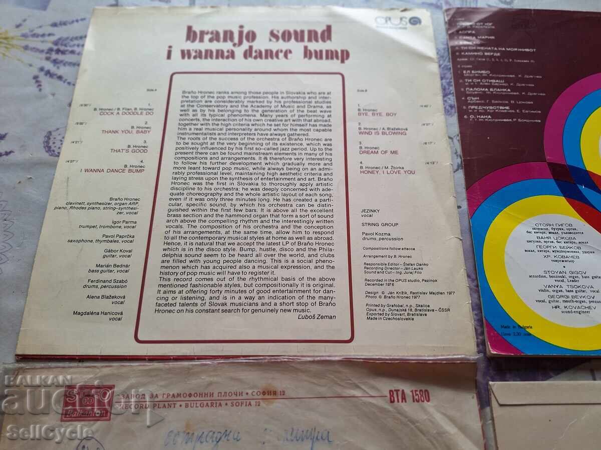 ✅HUSE PENTRU DISCURI DE VINIL ❗ - 6