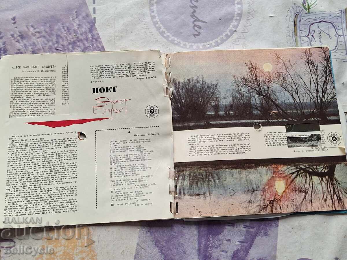 Licitație ✅HUSE PENTRU DISCURI DE VINIL ❗