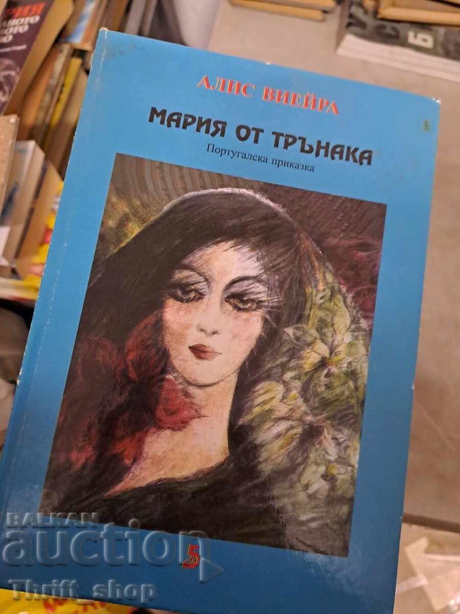Мария от трънака Алис Виейра - послание