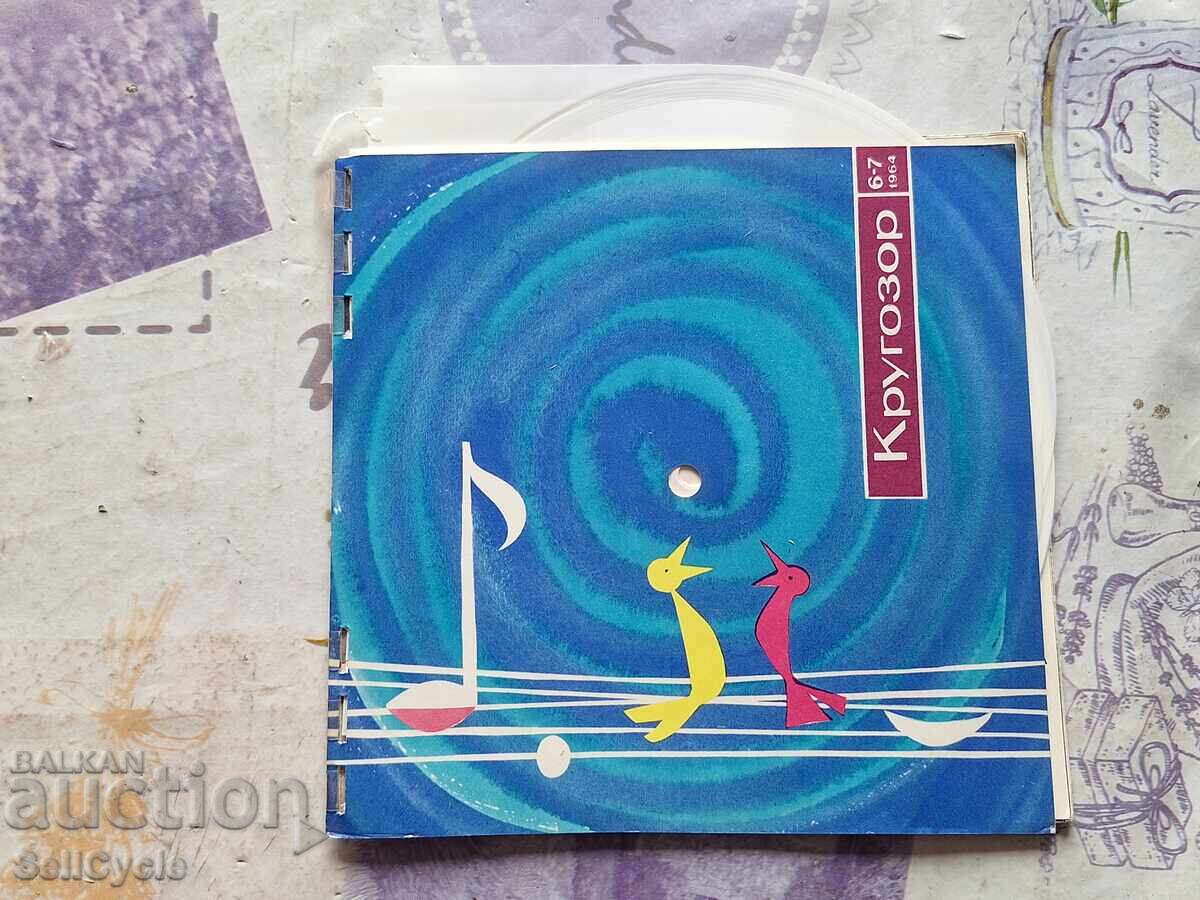 ✅HUSE PENTRU DISCURI DE VINIL ❗