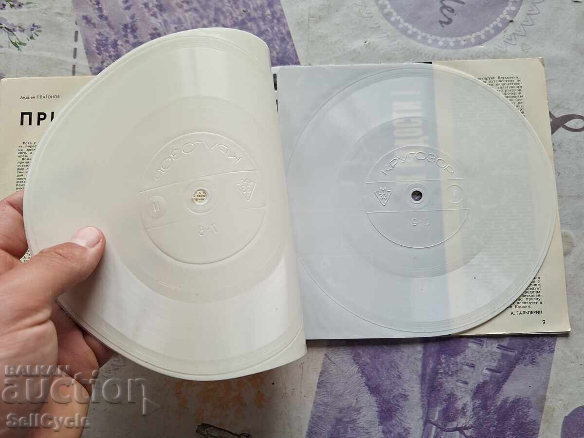 Licitație ✅HUSE PENTRU DISCURI DE VINIL ❗