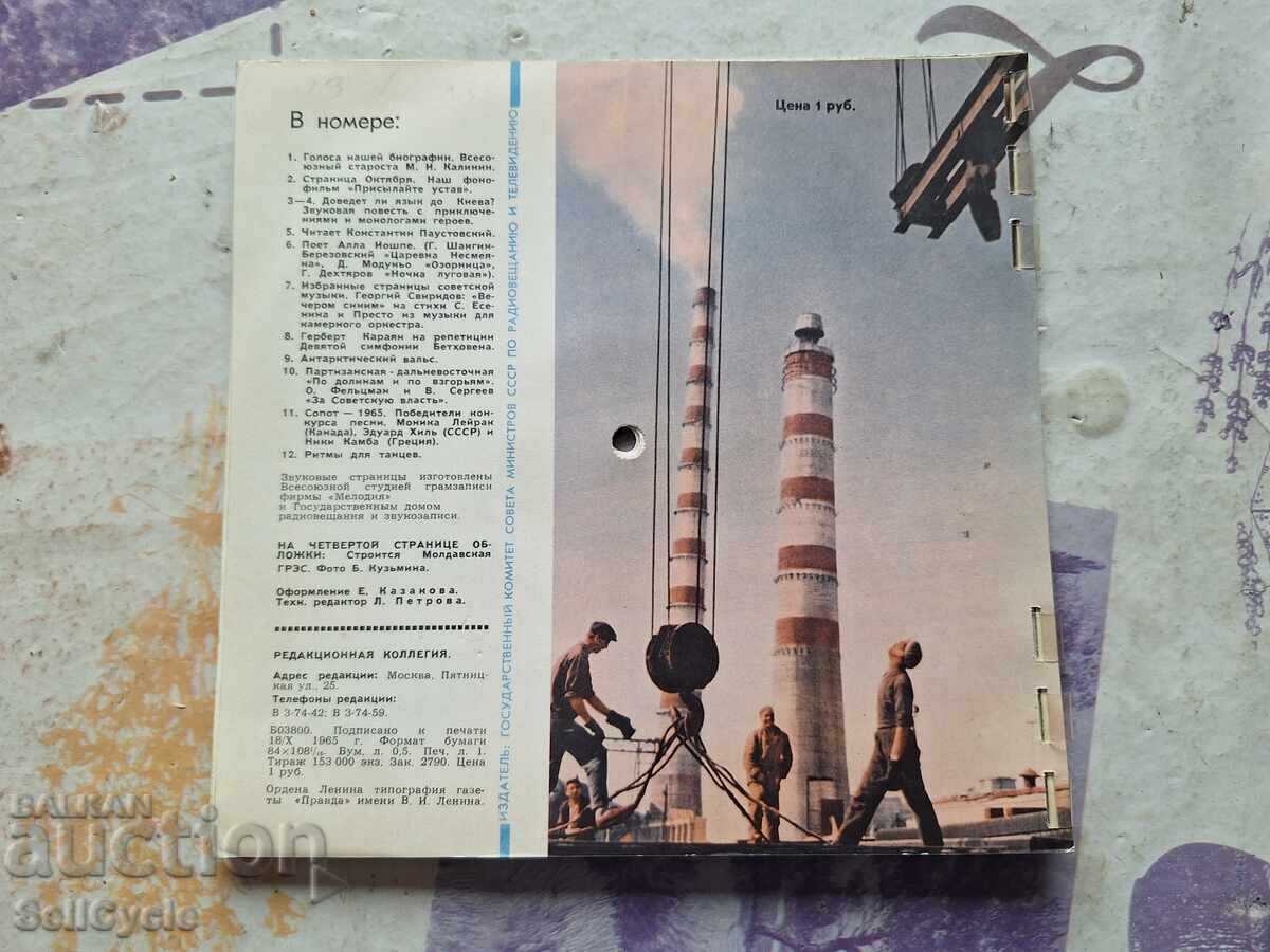 ✅HUSE PENTRU DISCURI DE VINIL ❗ - 5