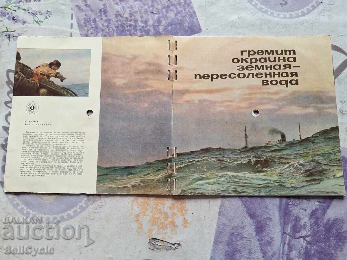 Licitație ✅HUSE PENTRU DISCURI DE VINIL ❗