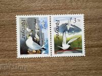 Faroe Islands - Faroese Birds - Arctic...(1991) MNH