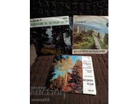 Πλάκες. Πατρίτσια Κάρλι. 3 τεμάχια