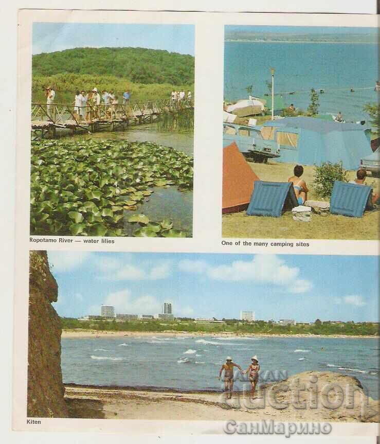 Auction Advertising flyer South Black Sea Auction Advertising flyer South Black Sea