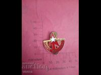 Badge, enamel, Gold plating, America