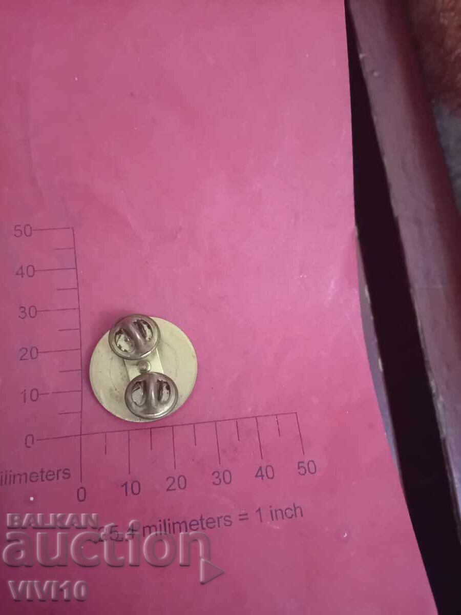 Military badge, pin, Gold plating, America with price € 10.00 | 19.56 BGN