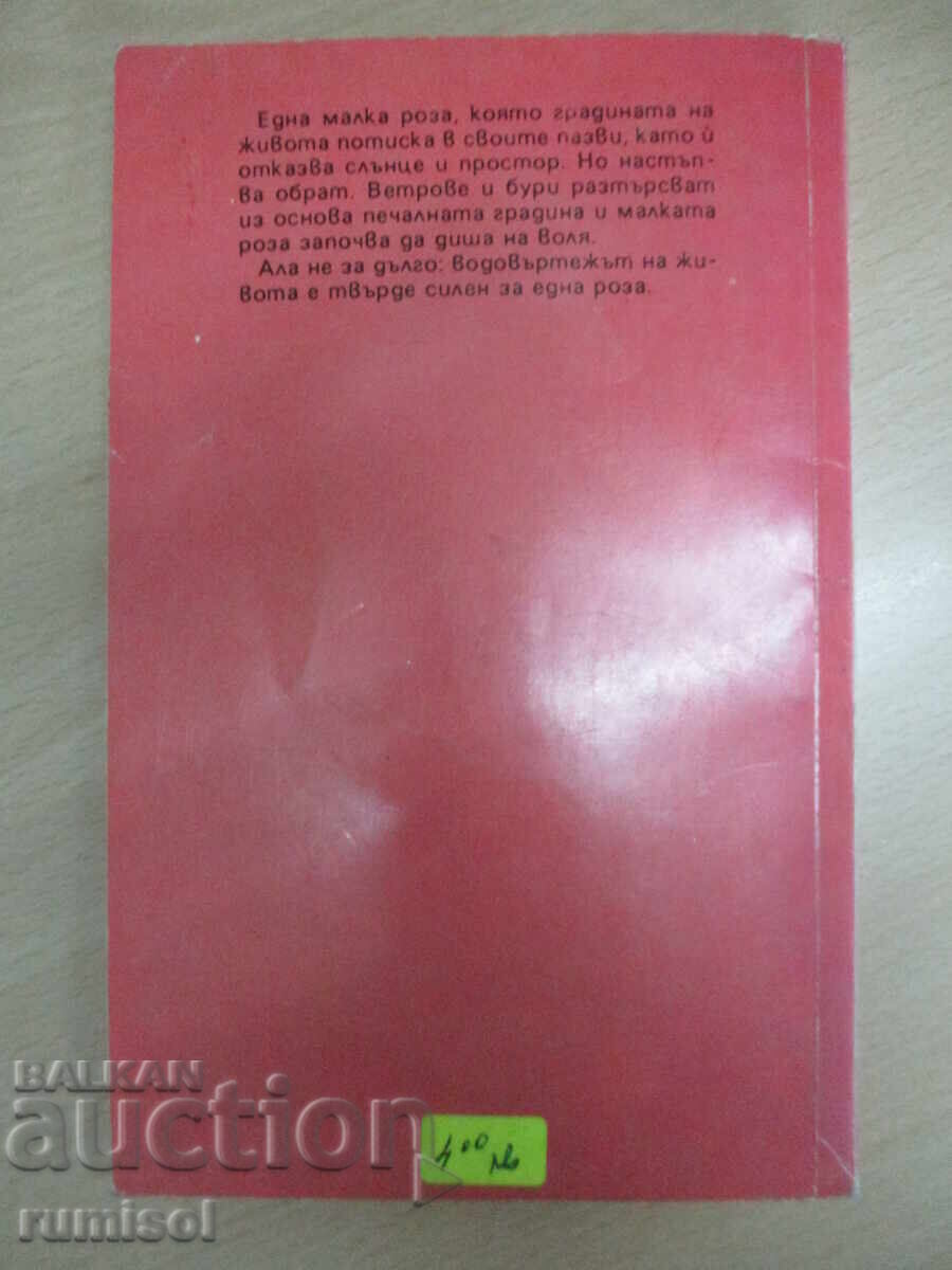 Κατοχή - Olivia Wedgley - 5