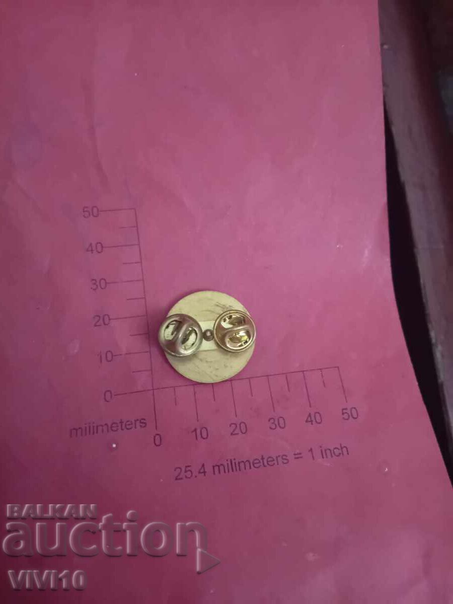 Military badge, Gold plating, America with price 30.00 BGN | € 15.34