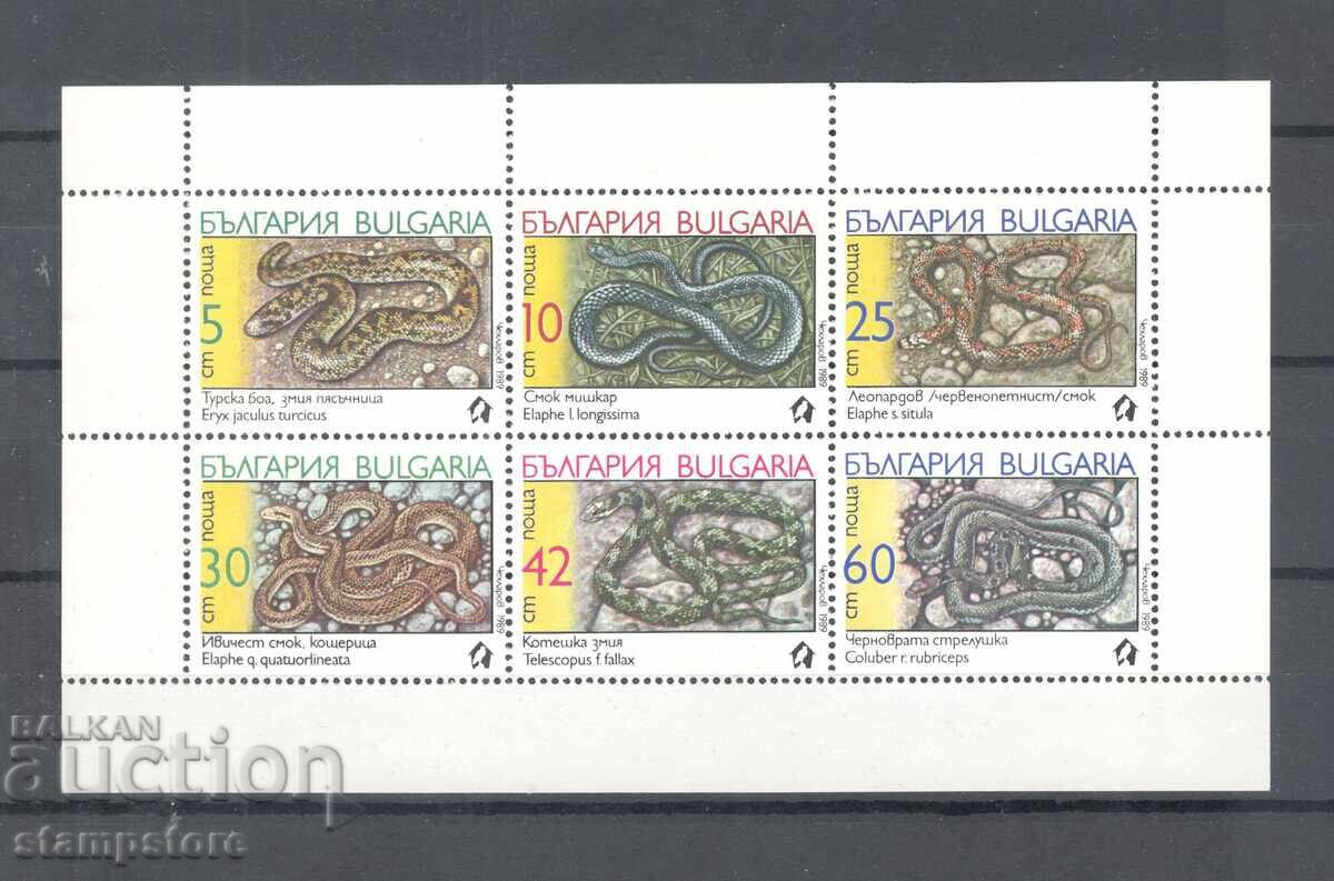 Little Leaf Reptiles