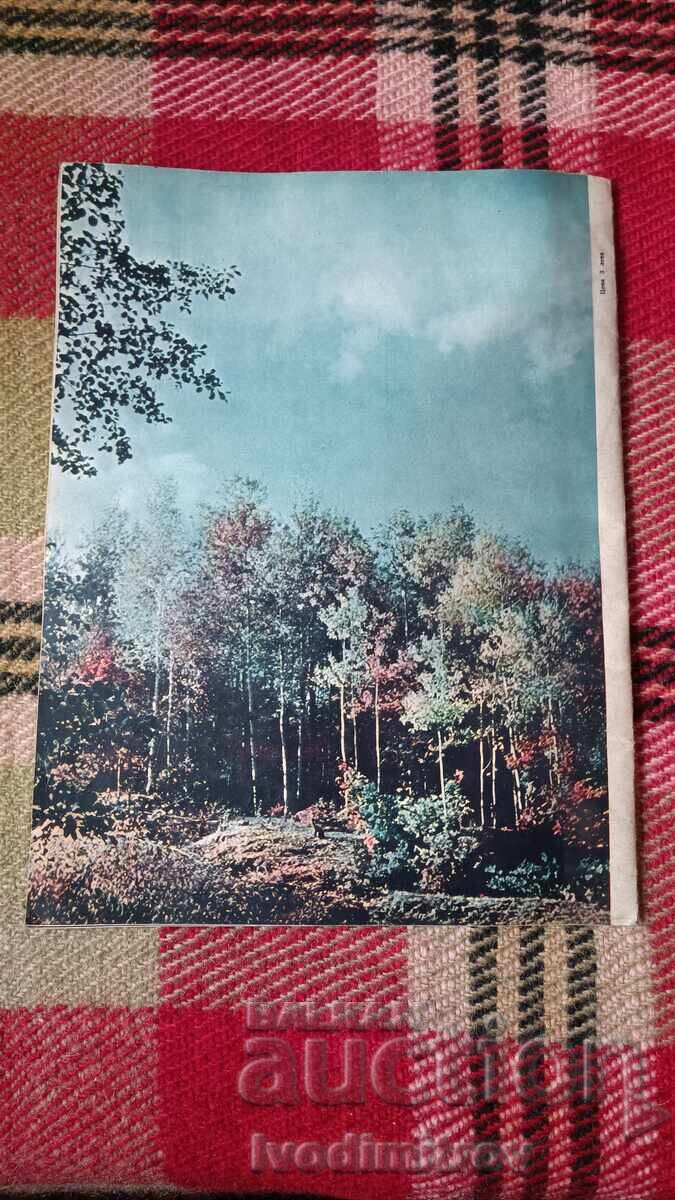 Our Homeland Magazine, Issue 11(23), Year 11, 1955 - 7