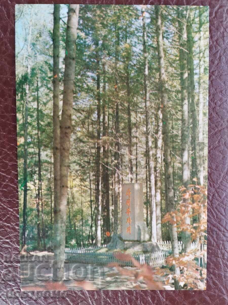 North Korea Postcard - A 5979