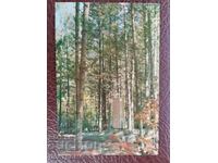 North Korea Postcard - A 5979