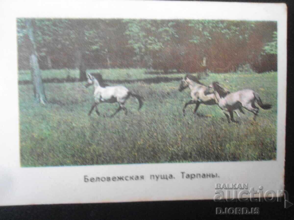 Old Russian calendar, 1977