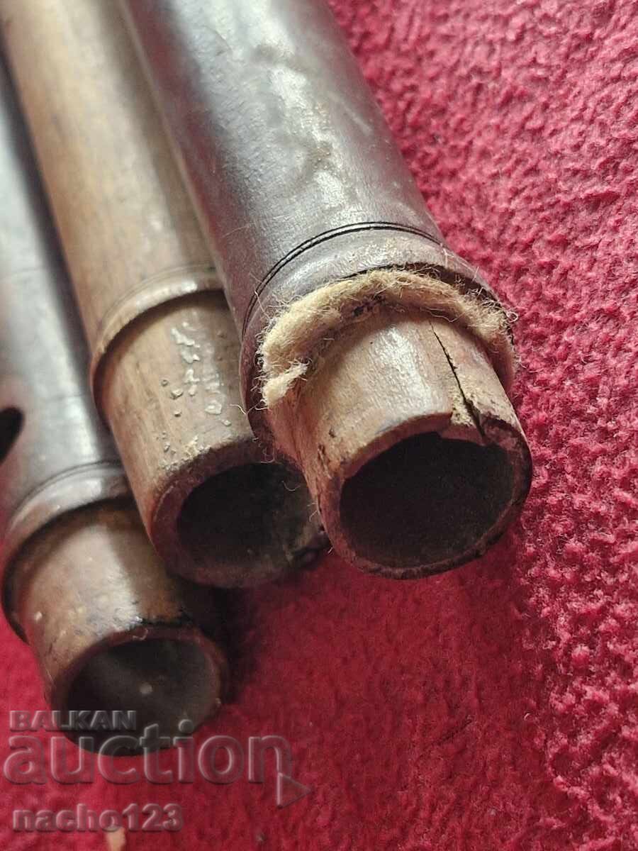 Caval foarte vechi - 6 Caval foarte vechi - 6