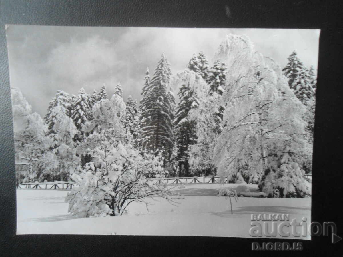 Стара картичка