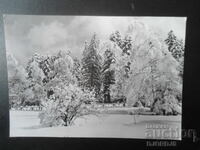 Стара картичка