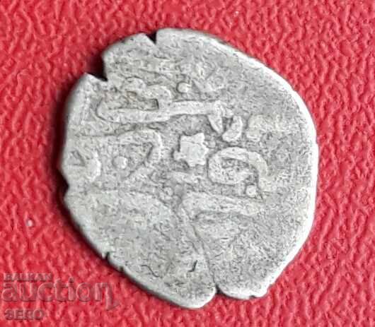 Turkey-silver goose Turkey-silver goose