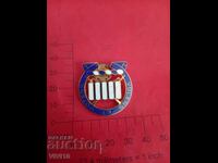 Military badge, enamel, Gold plating, America