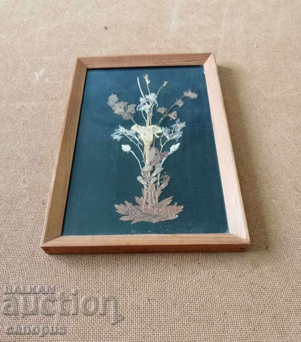 Παλιό Πίνακας με Ξερά Λουλούδια Εικόνα Herbarium Ξύλινο Πλαίσιο 1980 με τιμή 9.99 BGN | € 5.11